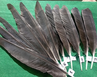 Handmade Smudge Fan, European Raven Feather: Ethically Sourced Jewelry Making, Dreamcatchers