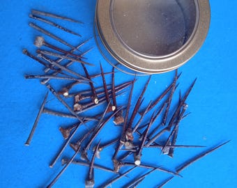 May include: A collection of sharp, brown thorns scattered on a blue surface. The thorns are arranged in a random pattern, with some pointing upwards and others pointing downwards. A round, gold container with a clear lid is in the background.
