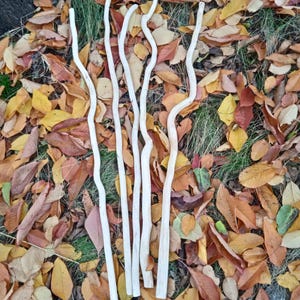 Natural decor, willow tree curly branch, Natural tree branches Wall decor, materials for floral arrangemen, macrame sticks _Set of 5