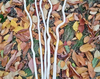 Curly Willow Branches: Natural Wall Decor, Macrame Sticks (Set of 5)
