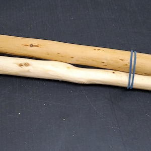 Blackthorn branches  magical wood, blackthorn spikes. Set of 2 branch
