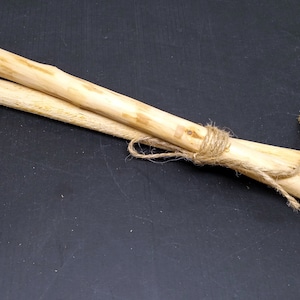 Blackthorn Wand Blanks: Unfinished Magic Wands (Set of 2)
