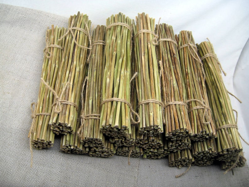 Dried Yarrow Stalks Stems Sticks Achillee Divination I Ching Etsy
