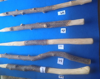 Könnte beinhalten: Fünf handgefertigte Holzstäbe, jeder mit einer einzigartigen Form und Textur. Die Stäbe bestehen aus natürlichen Ästen, von denen einige ein helleres, geglättetes Ende aufweisen. Die Nummern 1-5 sind auf blauem Hintergrund sichtbar.