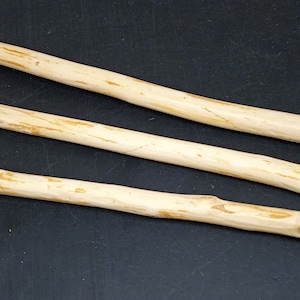 May include: Three natural wood dowels, each with a slightly different shape and texture, are arranged on a black surface.