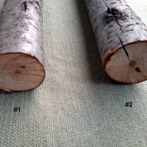 Blackthorn Branch: 30mm Thick, Thorny Craft Wood, sticks for creativity_set of 1