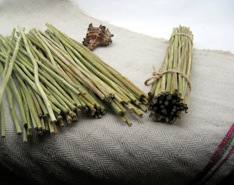 Dried yarrow stalks stems sticks achillee divination i ching 10 inches