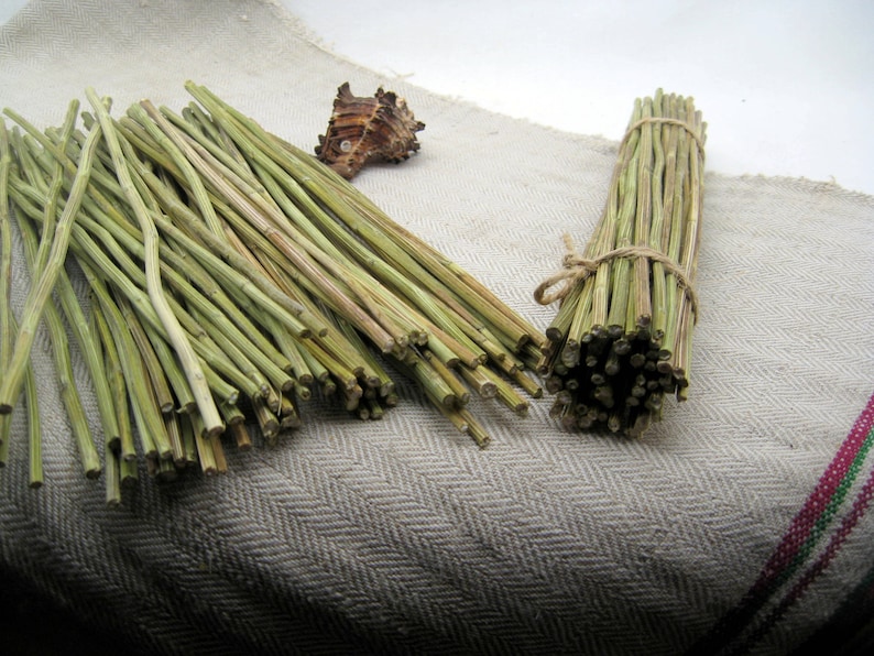 Dried Yarrow Stalks Stems Sticks Achillee Divination I Ching Etsy