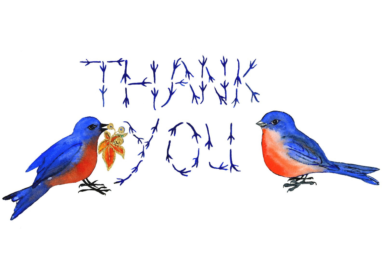 Bluebird Watercolor Thank You Card, Animal Lover Gift - Etsy