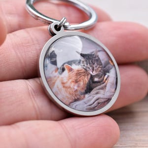 Könnte beinhalten: Ein runder, silberfarbener Schlüsselanhänger mit einem Farbfoto von zwei Katzen. Eine Katze ist orange und weiß, die andere grau und braun. Die Katzen kuscheln sich auf einer weichen, grauen Oberfläche aneinander.