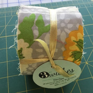 Jelly Roll 3 Wishes Gweneth Strips 20 pieces 2 1/2&quot; X 42&quot;
