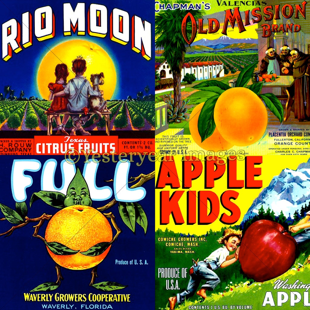 vintage fruit crate labels f printable digital images etsy