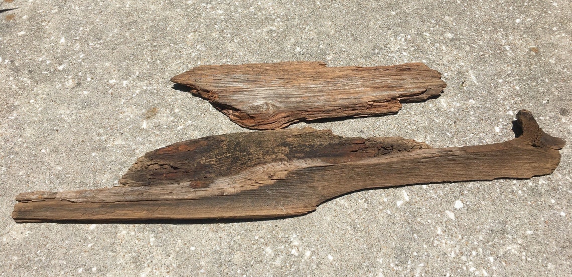 2 Antique Cypress pieces boards wood taxidermy rustic Etsy