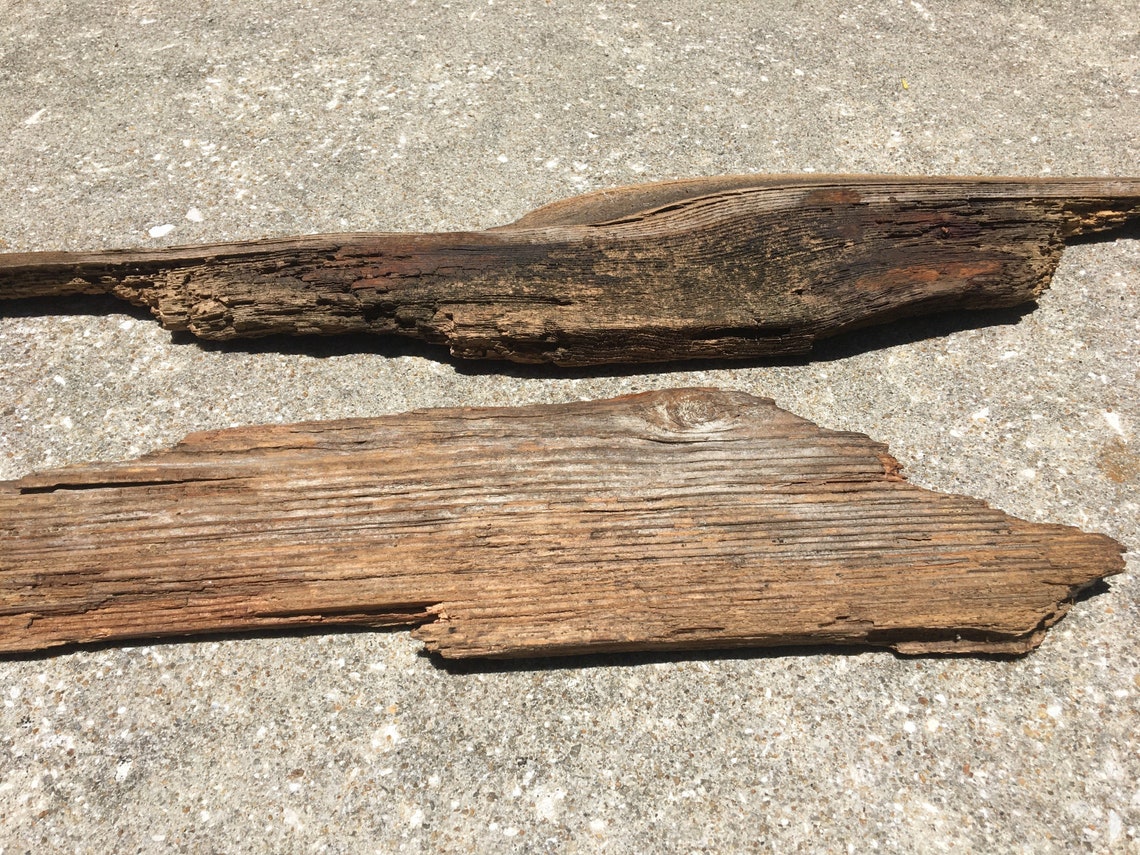 2 Antique Cypress pieces boards wood taxidermy rustic Etsy