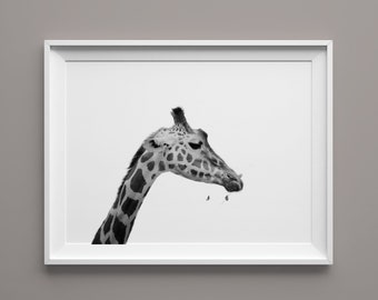 Giraffe Druckbare Wand Kunst Bild Giraffe Gesicht Digitaler Etsy