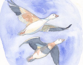 Snow Geese ORIGINAL WATERCOLOR (discounted)