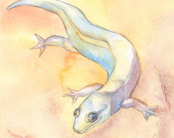 Salamander ORIGINAL WATERCOLOR