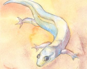 Salamandra ORIGINALE WATERCOLOR