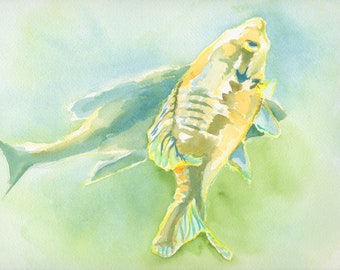 Sunlit Sunfish ORIGINAL WATERCOLOR