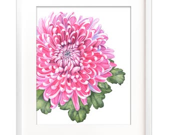 Chrysanthemum watercolor painting digital print, Chrysanthemum digital watercolor print, 4 sizes. Instant download watercolor chrysanthemum