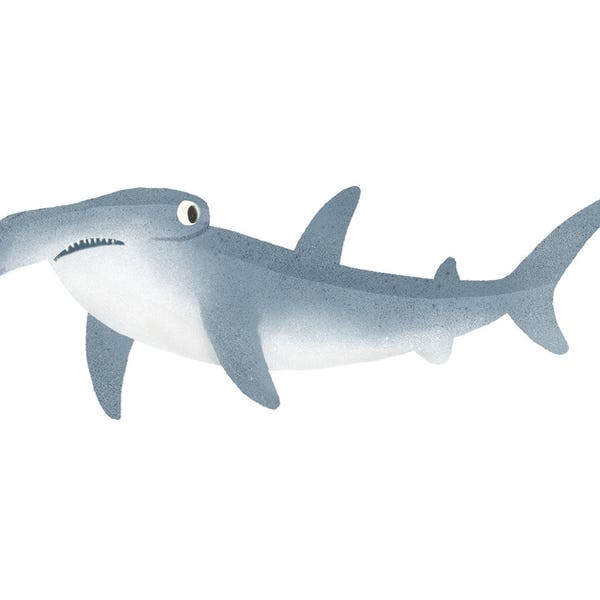 Illustration d'impression d'art - requin marteau