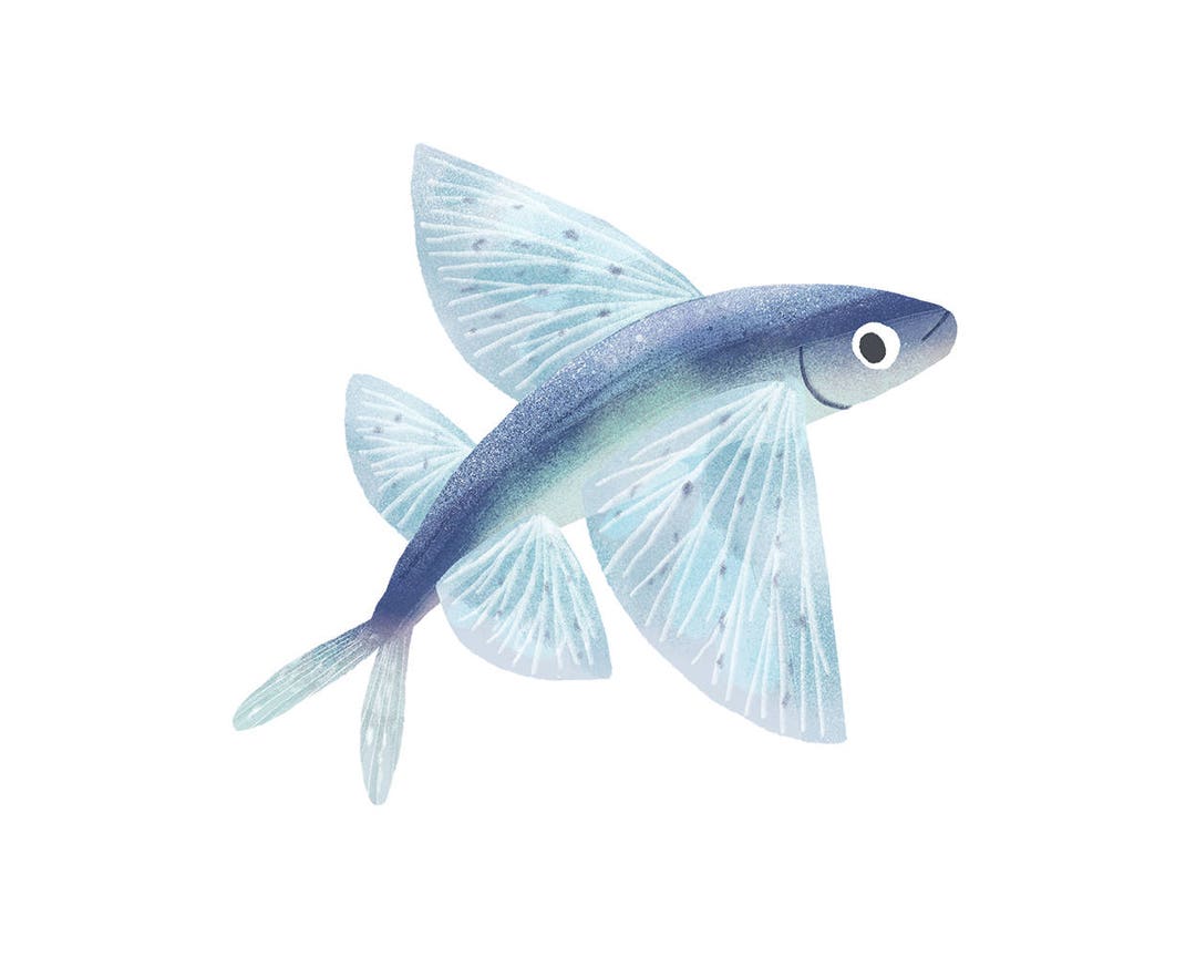 Art Print Illustration - Flying Fish - Etsy, image size:1080x864
