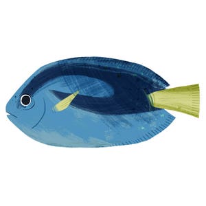 Ilustración de impresión artística: pez cirujano azul Dory