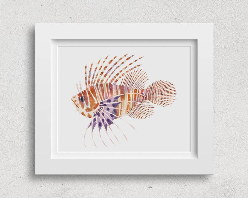 Art Print Illustration Lionfish image 2