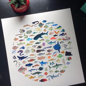 Wall Art Print 100 Fish Circle Illustration image 7