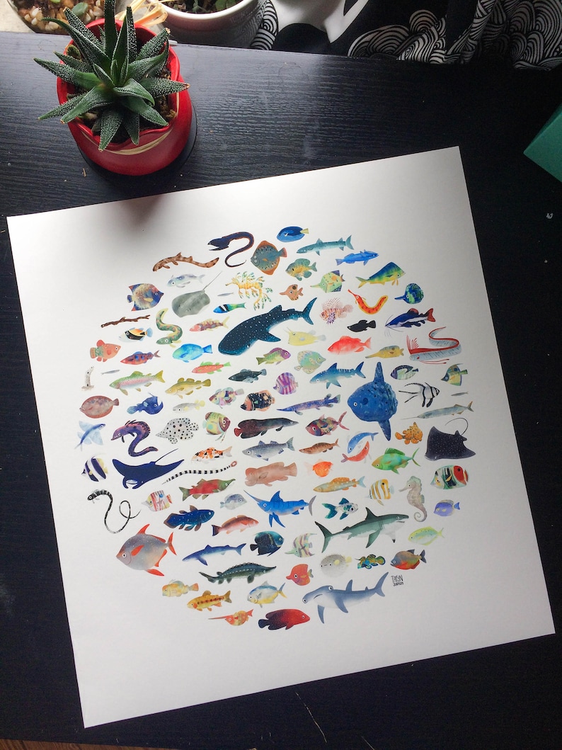 Wall Art Print 100 Fish Circle Illustration image 7