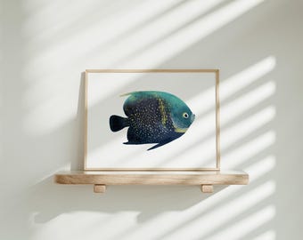 フレンチエンゼルフィッシュ 馬海鋒作 限定版フィギュア 618/5000 魚の