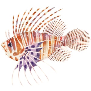 Art Print Illustration Lionfish image 1