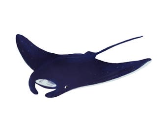 Art Print Illustration - Blue Manta Ray