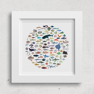 Wall Art Print 100 Fish Circle Illustration image 1