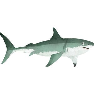 Art Print Illustration - Great White Shark