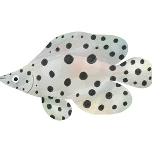 Art Print Illustration - Spotted Panther Grouper Fish