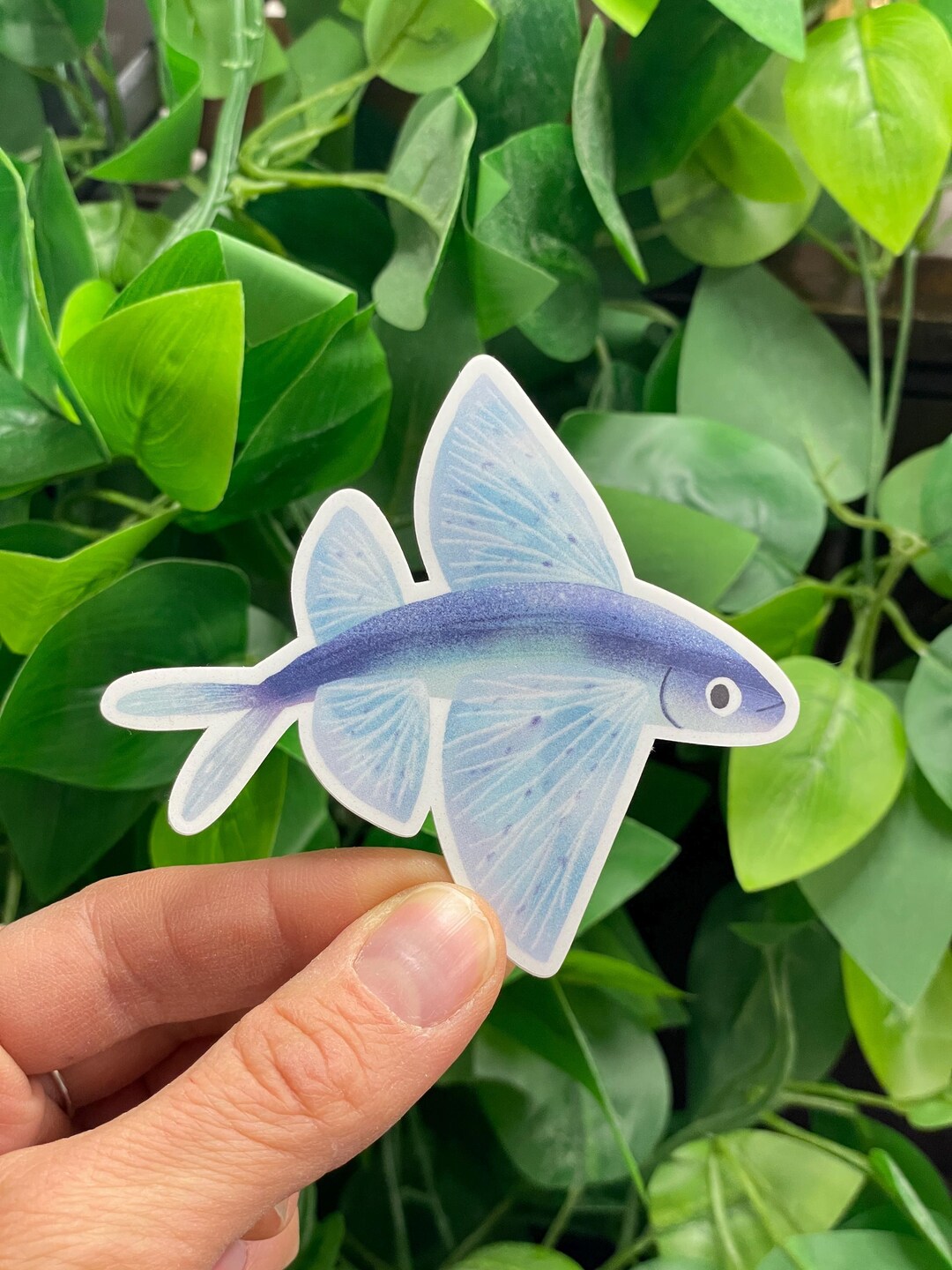 Hoverfish Sticker Flying Fish Sticker • Water Bottle Stickers • Matte Vinyl Waterproof ...