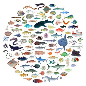 Wall Art Print 100 Fish Circle Illustration image 2