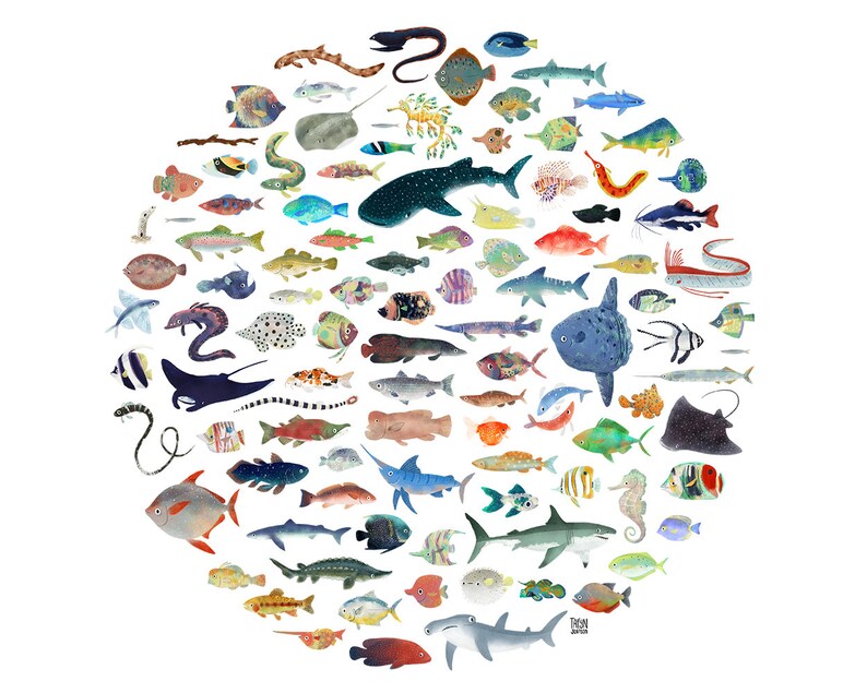 Wall Art Print 100 Fish Circle Illustration image 2
