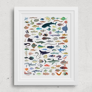 Wall Art Poster - 100 Fish Illustration - Taryn Johnson  • tarynosaurus