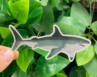 May include: A sticker of a shark with a white belly, gray body, and black fins. The shark has a detailed design with visible gills and a row of tiny teeth. The sticker is held against a backdrop of green leaves.
