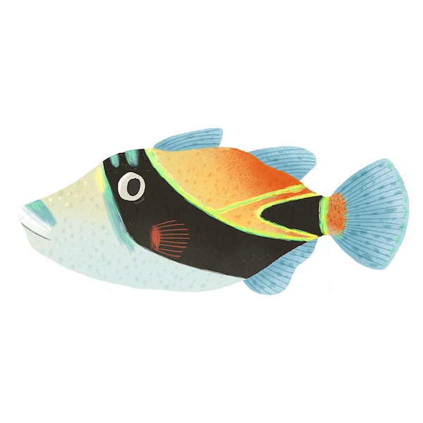 Illustration d’impression d’art - Poisson déclencheur hawaïen Humuhumunukunukuapua'a