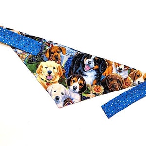 May include: A blue and white dog bandana featuring a pattern of various breeds of puppies. The bandana has a blue and white polka dot trim.