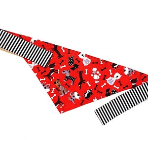 Hondenbotten hondenbandana, hondenkoekjes hondenbandana, hondenbotten hondensjaal, hondensjaal puppy&#39;s, hondenrassen hondensjaal, hondenbandana puppy&#39;s