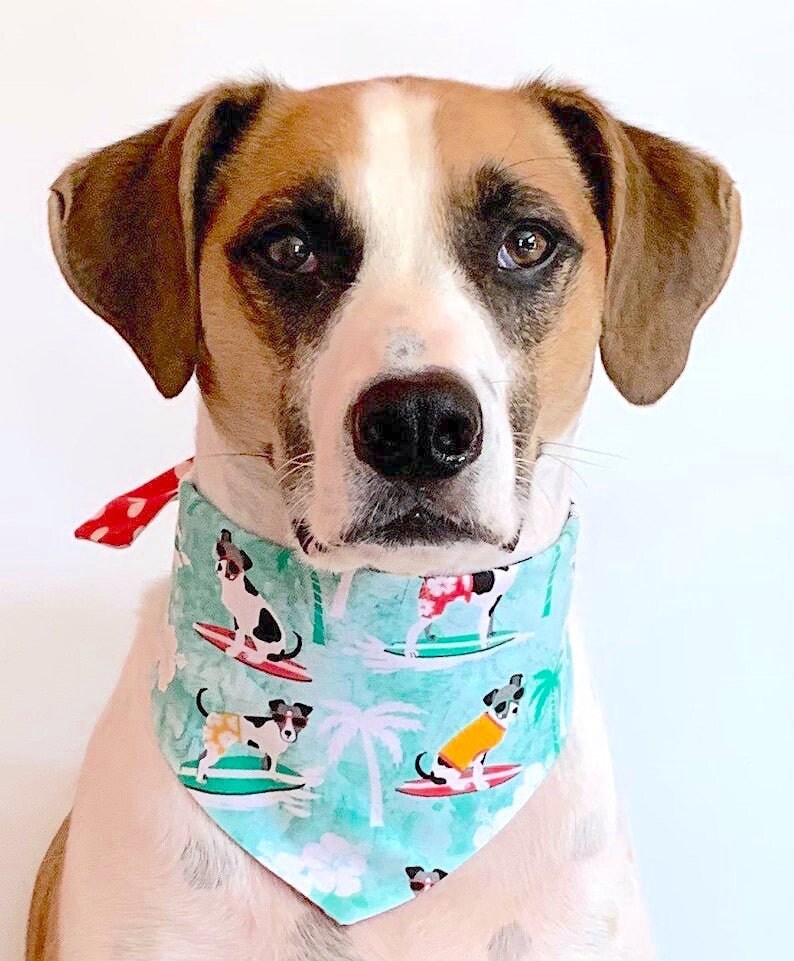 Beach dog bandana tropical dog bandana ocean dog bandana | Etsy
