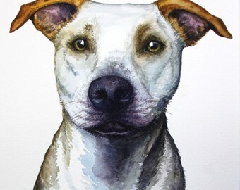 9x12" Pet Portrait by Request of 1 Subject - Head/Torso