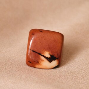 May include: A polished, rectangular stone with rounded edges. The stone features a mix of reddish-brown and cream colors, with a dark, linear pattern across the surface. The stone is smooth and glossy, suggesting it may be a decorative item or a piece of jewelry.