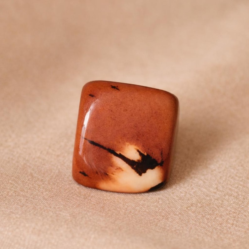 May include: A polished, rectangular stone with rounded edges. The stone features a mix of reddish-brown and cream colors, with a dark, linear pattern across the surface. The stone is smooth and glossy, suggesting it may be a decorative item or a piece of jewelry.