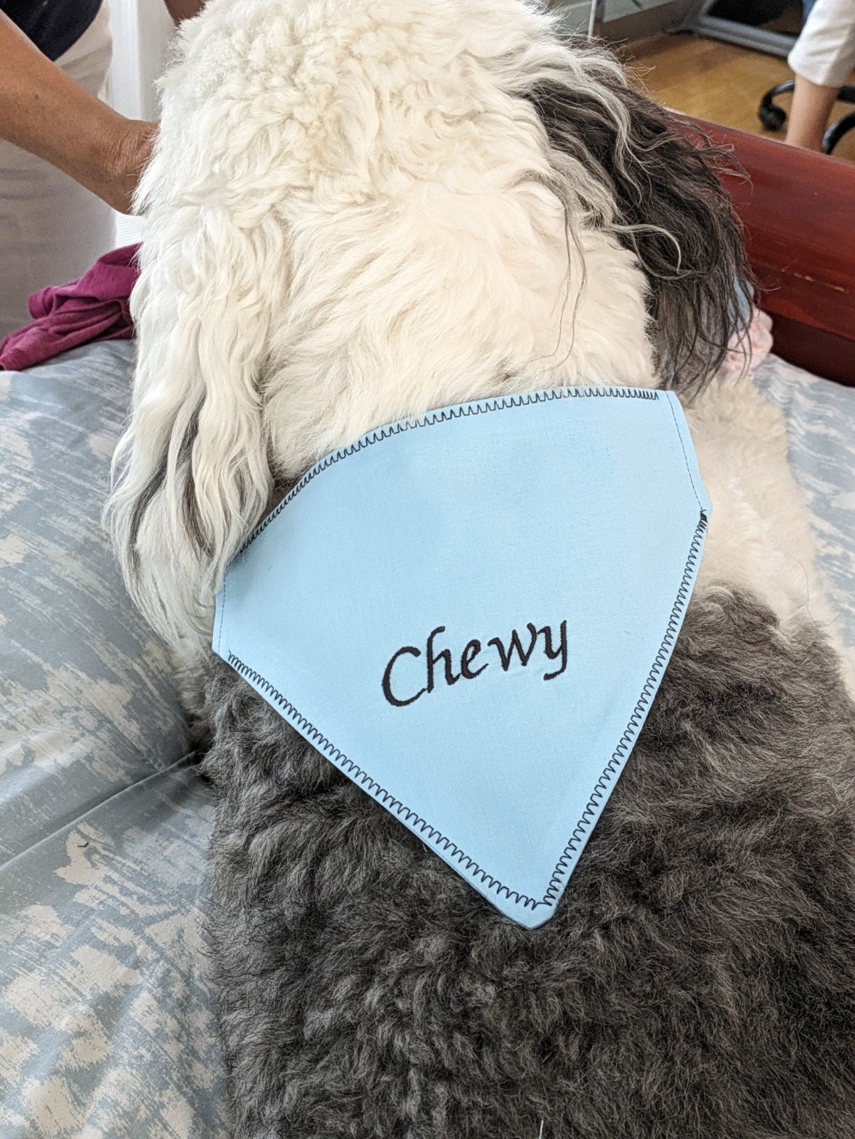 Personalized Dog Bandanas the Perfect Gift for Your Canie, Bandana Dogs
