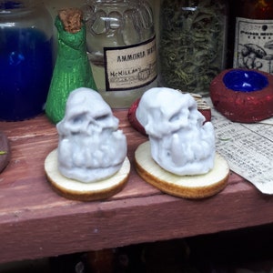 Miniature 1:12, monster skull on wooden base, ideal for decorating our witch doll houses, magic shops or curiosity cabinet